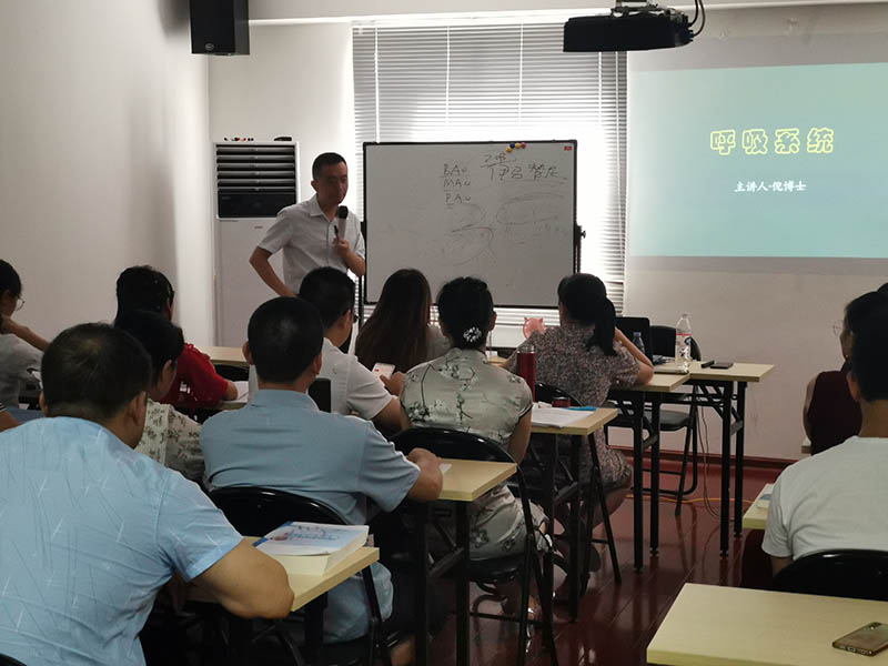 呼吸系统学习